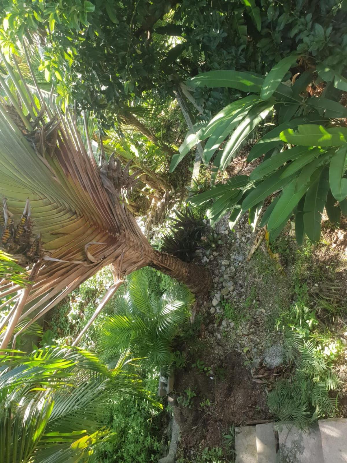 Bungalow Nature Gosier Centre Le Gosier  Dış mekan fotoğraf